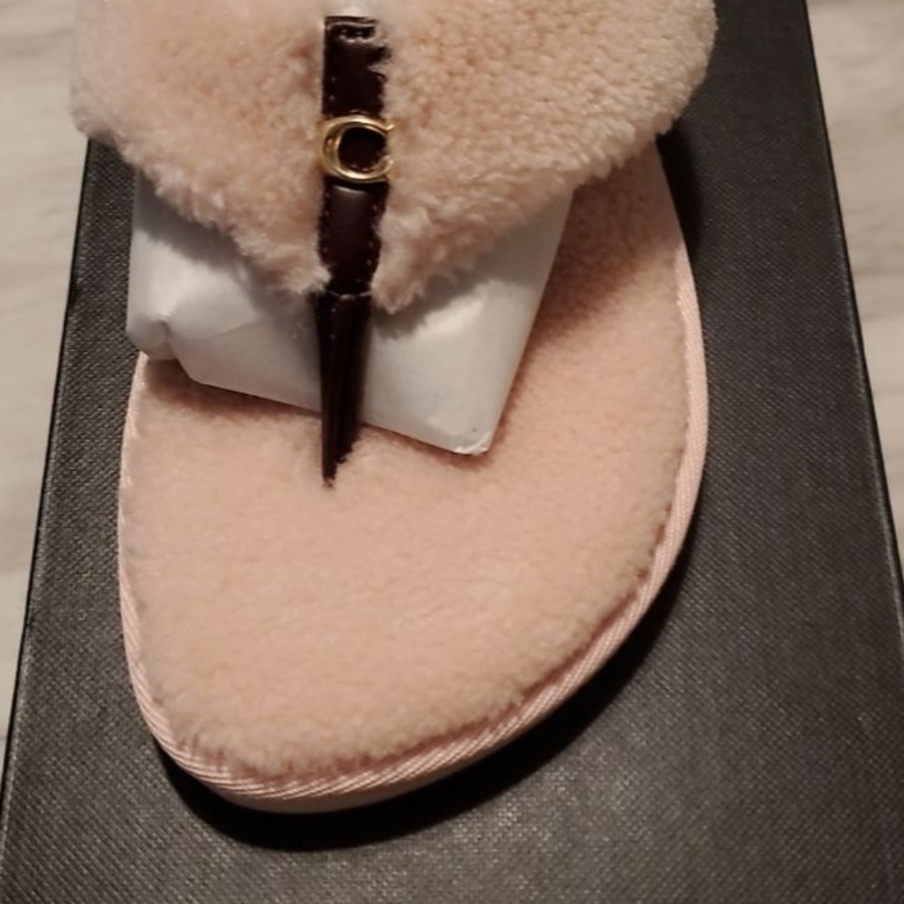Size 8 Coach Slides